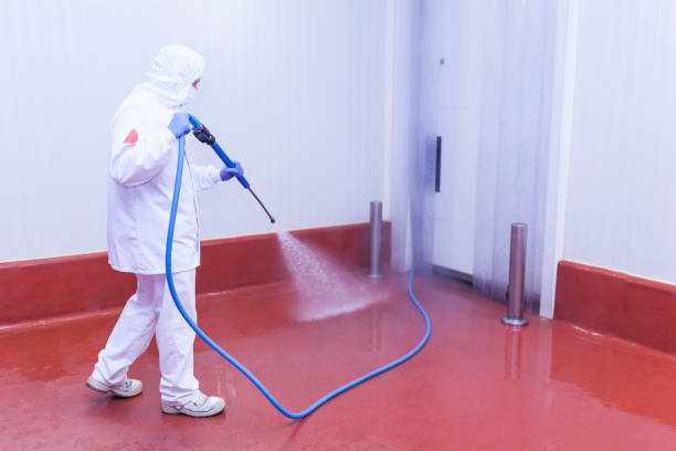 Best Sign and Awning Cleaning  in Martindale, TX